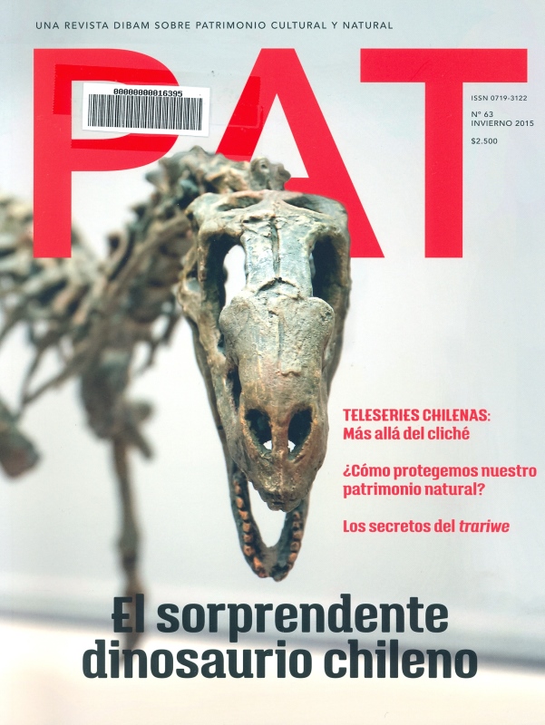 Portada revista PAT